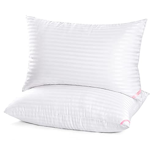 Bed Pillows for Sleeping 2 Pack Queen Size，Pillows for Side and Back Sleepers,Super Soft Down Alternative Microfiber Filled Pillows,20 x 30 Inches